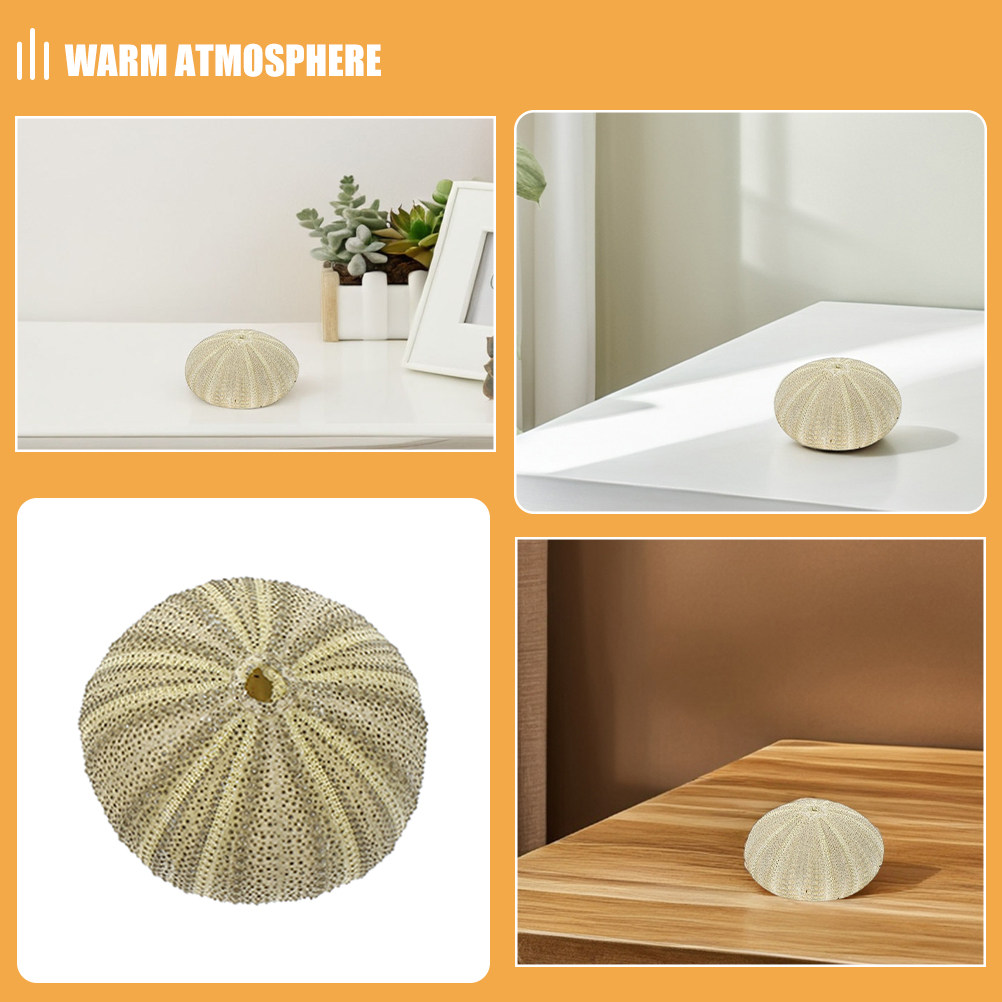 18Pcs Urchin Shells Vase Fille - Art Craft Home recension och pris