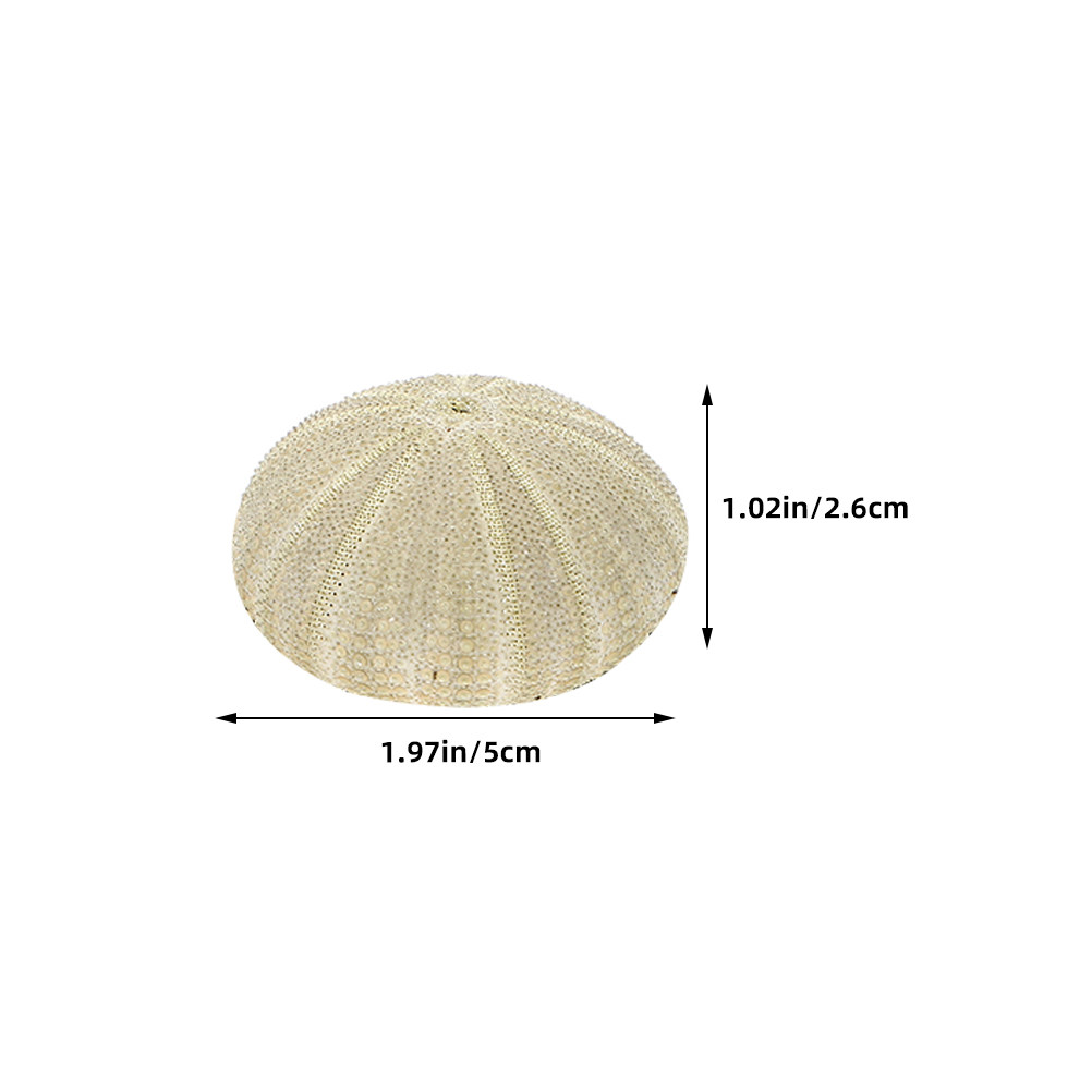 18Pcs Urchin Shells Vase Fille - Art Craft Home recension och pris